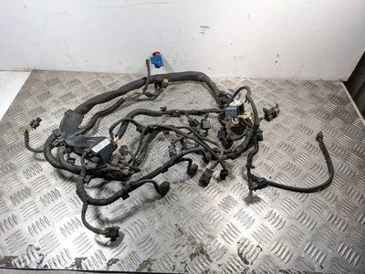 Countryman Deals ⇒ Best Sales in UK | Dealsan