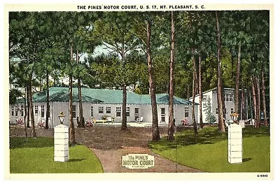 Mt Pleasant South Carolina THE PINES MOTOR COURT U.S. 17 Vintage Postcard C15 • $5.25