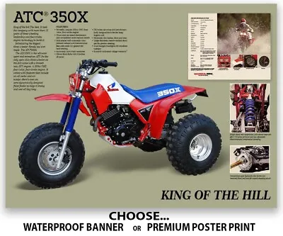 1985 Honda ATC 350X Flyer Poster Banner Ad OEM Brochure Specs Picture Graphic • $24.99