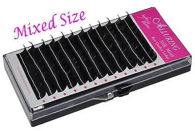 Mixed Size Alluring Silk Mink Lashes C Curl Eyelash Extension New Thickness  • $12.99