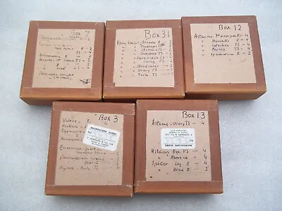 Vintage Glass Microscope Slides - 5 X Boxes • $186.76