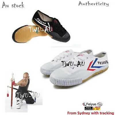 Feiyue Shoes Kung Fu Shoes Wushu Shoes Taiji Shoes Parkour Martial Arts Shoes • $45.50