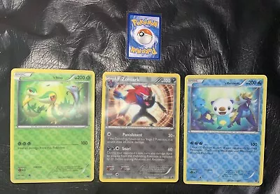 Jumbo Pokemon Card Lot 3D ZOROARK  OSHAWOTT  SNIVY PLASTIC OVERSIZED • $49.99