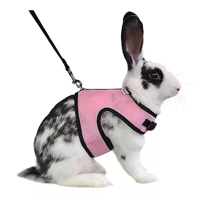 Niteangel Adjustable Soft Harness With Elastic Leash For Rabbits (L Pink) • $14.80
