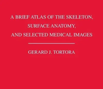 A Brief Atlas Of The Skeleton Surface Anatomy- Paperback Tortora 9780471714286 • $3.95