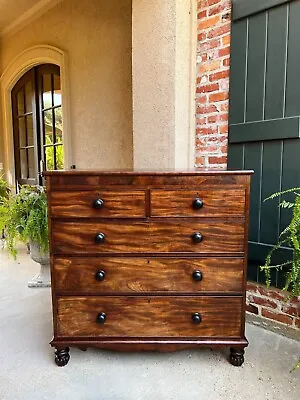 Antique English Chest Of Drawers Burl Mahogany Victorian Dresser Cabinet • $2750