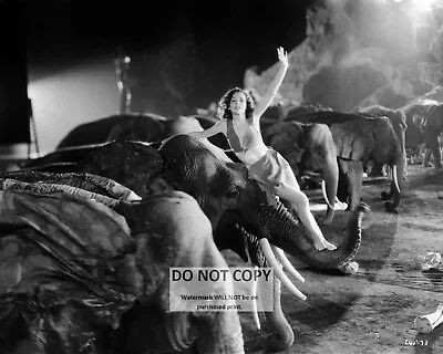 Maureen O'sullivan As Jane In  Tarzan & His Mate   8x10 Publicity Photo (ab-069) • $8.87