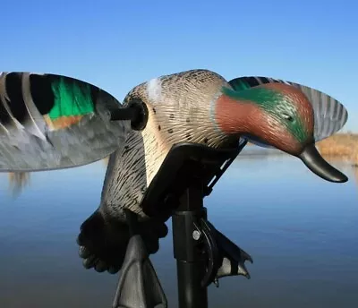 $67.99 • Buy Mojo Elite Series Green Wing Teal Spinning Wing Duck Decoy Remote Ready 3p