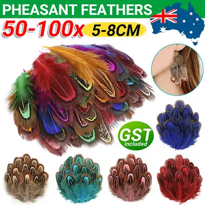 BULK 50/100pcs Natural Pheasant Feathers 5cm-8cm DIY Craft Millinery Smudge Fan • $6.45