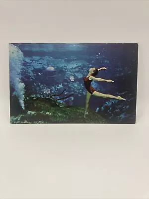 Postcard The Bird Arabesque Underwater Weeki Wachee Springs Mermaids Florida • $2.99