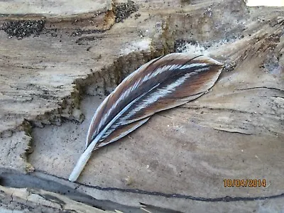 Wooden Carved And Painted Mallard Hen Feather Pin By Robert Lis Master Carver • $35