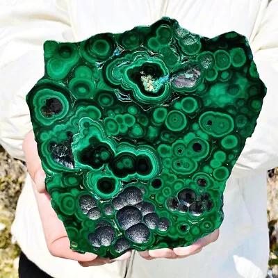 2.5LB Natural Malachite Slice Quartz Crystal Luster Mineral Specimen • $3.58