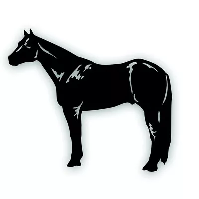 H QUARTER HORSE Mare Stallion Standing Decal For Tack Box Truck Or Trailer BLACK • $9.93