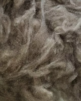 1/2 Oz. Qiviut Fiber Musk Ox Wool No Guard Hair Grass Twigs Or Foreign Objects • $24.99