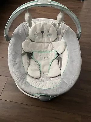 Ingenuity Baby Bouncer • £5