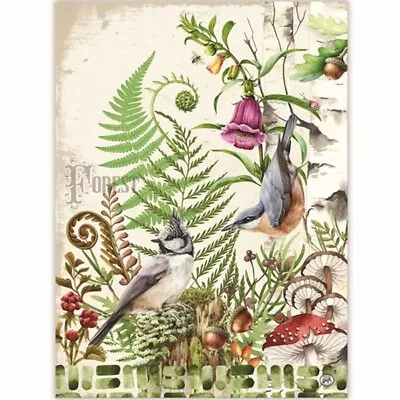 Michel Design Works Moss & Oak Woodland Bird Natural Woven Cotton Kitchen Towel • $10.95