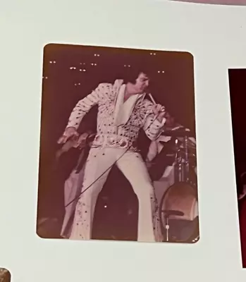 Elvis Presley Original Vintage 45+ Yr Old  Kodak Photo Knoxville March 1974 • $8.50