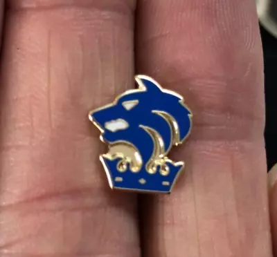 £1.99 • Buy Quality Non League Small Chester Fc Crest  Enamel Pin Badge