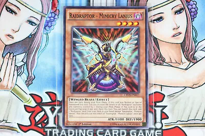 Yugioh Raidraptor - Mimicry Lanius CROS-EN017 1st Edition Common • $1