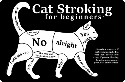 Small Metal Tin Sign: CAT STROKING FOR BEGINNERS - Stroke Lover Crazy Lady Gift • £5.95