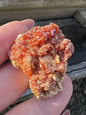 Red Vanadinite On Barite- Natural 1.2” 24.73g Morocco Vanadinite Mineral Cluster • $14.95