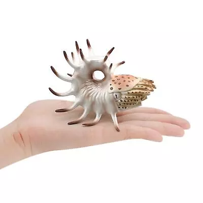 Sea Animal Figures Model Collection Nautilus Model For Boy Teens Kids • $19.99