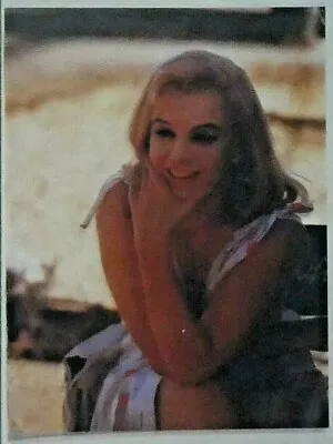 Vintage Marilyn Monroe 35mm Slide Negative • $29.99