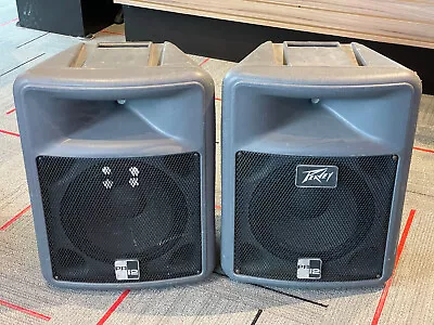 Peavey PR12 Passive Loudspeakers -USA - Grey - (PAIR) • $299.95