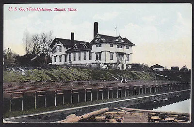 Duluth-Minnesota-U.S. Government Fish Hatchery-Antique Postcard • $9.95