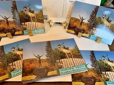 Postcard Lot Of 50  4 X 6 Mohawk Trail MA. Landmarks. New. Single-View • $0.99