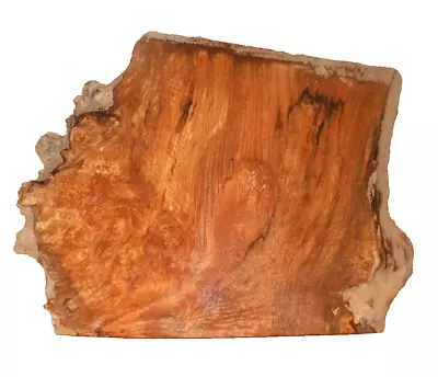 MAPLE BURL SLAB LIVE EDGE TURNING CRAFT WOODWORKING APPROX 16x12x1.25 IN • $27.50