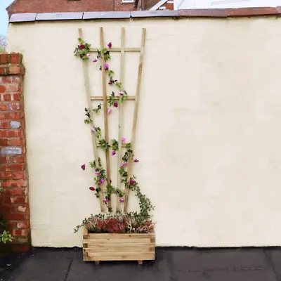 Fan Trellis Climbing Plant Support From Zest - Range Of Sizes - Pressure Treated • £8.40