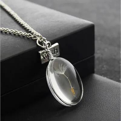 Dandelion Seed MAKE A WISH Oval Necklace Silver Chain Gift Pendant Resin • $11.99