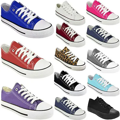 Womens Trainers Canvas Shoes Uk Plimsolls Flat Lace Up Ladies Boots Sneakers • £10.97