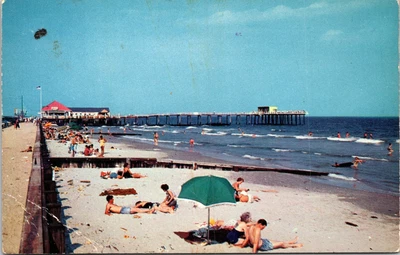 $3.99 • Buy Sea Horse Pier And Beach At Brigantine NJ Chrome Postcard B27