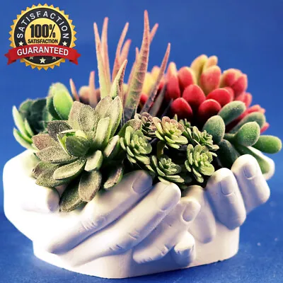 Concrete Planter Mold Hand Palm Design Silicone Molds Crystal Resin Cement DYI  • $15.49