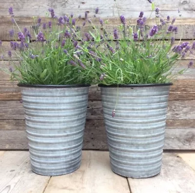 SECONDS Set 2 Grey Zinc Metal Garden Planters Flower Plant Pots Vintage Style • £23.99