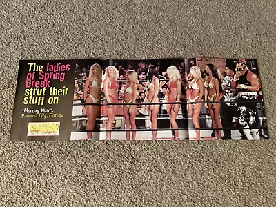 Vintage HOLLYWOOD HULK HOGAN & WCW SPRING BREAK LADIES Centerfold Poster 1990s • $8.99