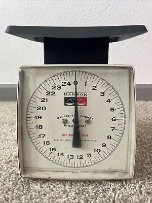 Vintage Hanson Utility Scale 25 LB.  • $30