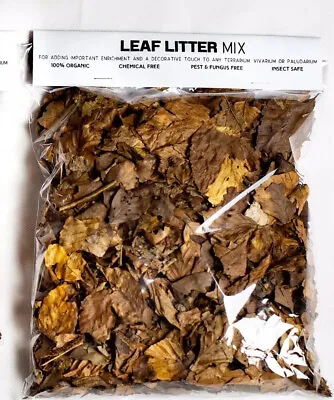 50g Rainforest Leaf Litter Substrate Natural Isopod Millipede Beetle Larvae Food • £4.99