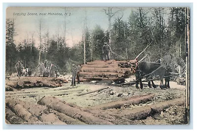 1909 Logging Scene Near Manistee Michigan MI Posted Antique Postcard • $12.49