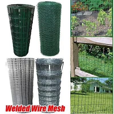 5M~50M Galvanised / PVC Chicken Wire Mesh Netting Rabbit Cage Fence Plant Net • £7.70