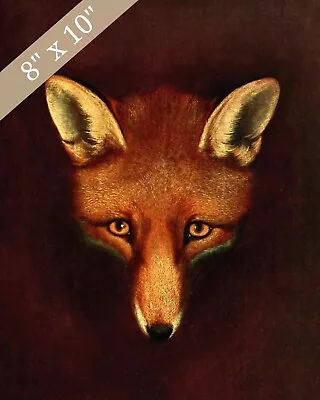 1800s Fox Vintage Painting Giclee Print 8x10 On Fine Art Paper • $14.99