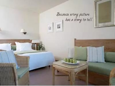 PICTURE STORY Vinyl Wall Art Decal Home Quote Decor Words Lettering  • $15