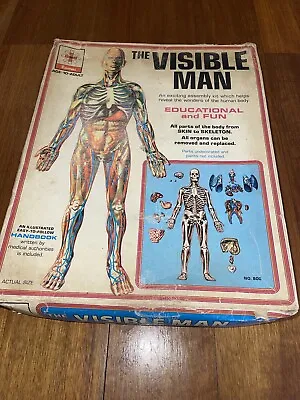 The Visible Man Science Model Kit By Renwal 1959 Used Vintage • $49.99