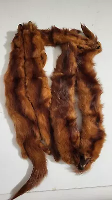 Vintage *Real Fur* 1940's Marten Stole With 5 Martens And A Clip Attachment • $49