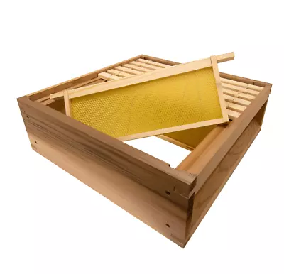 B.S National 1st Grade Western Cedar Super Box With Frames & Foundation • £62.49