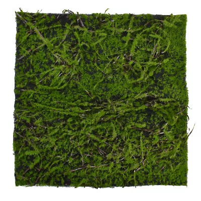 Artificial Moss Mat Vines Wall Turf Fairy Garden Lawn Garland Landscape Decor  • $5.21