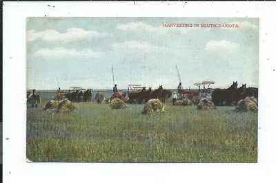 Postcard Post Card Harvesting South Dakota SD S D Horse Drawn Farm Equipment • $6
