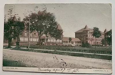 1908 NJ Postcard Lakehurst New Jersey Pine Tree Inn Hotel Vintage Ocean County • $6.99